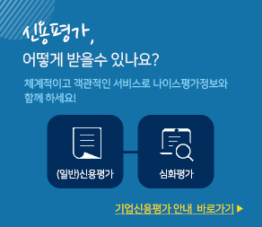 평가 신용 나이스 디앤비 신한AI, 나이스평가정보